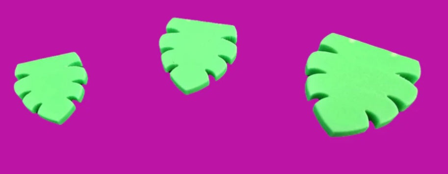 Monstera leaf set