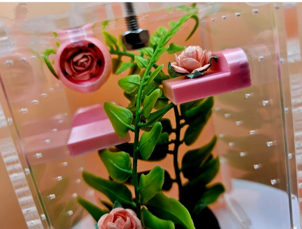 "Pink Rose" Micro Starter Home