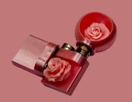 Silk-Pink Micro Rose Hide and Ledge Set